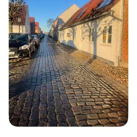 Gravsgade 55 - Rolig Gade I Hjertet Af Рибе