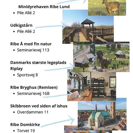 Gravsgade 55 - Rolig Gade I Hjertet Af Alloggio in famiglia Ribe